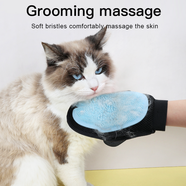 TikTok出海商机，宠物脱毛刷卖爆美国——找对内容，躺赚流量